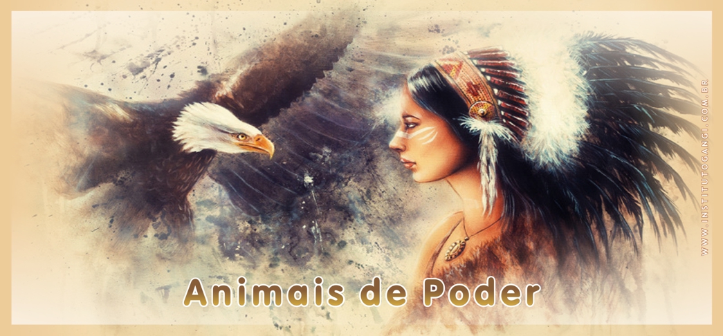 Animais de Poder Animais de Poder